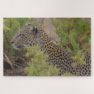 Leopard in Kenia Afrika Puzzle
