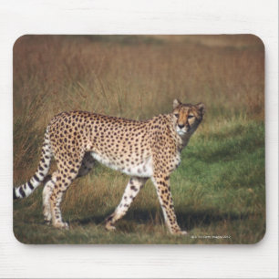 Leopard in schlichtem mousepad