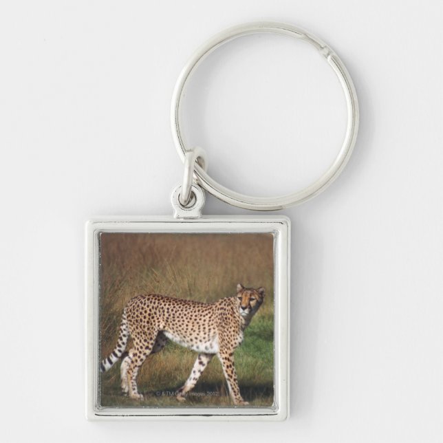 Leopard in schlichtem schlüsselanhänger (Vorne)