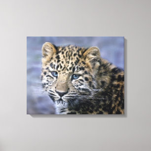 Leopard-Junges auf Leinwand