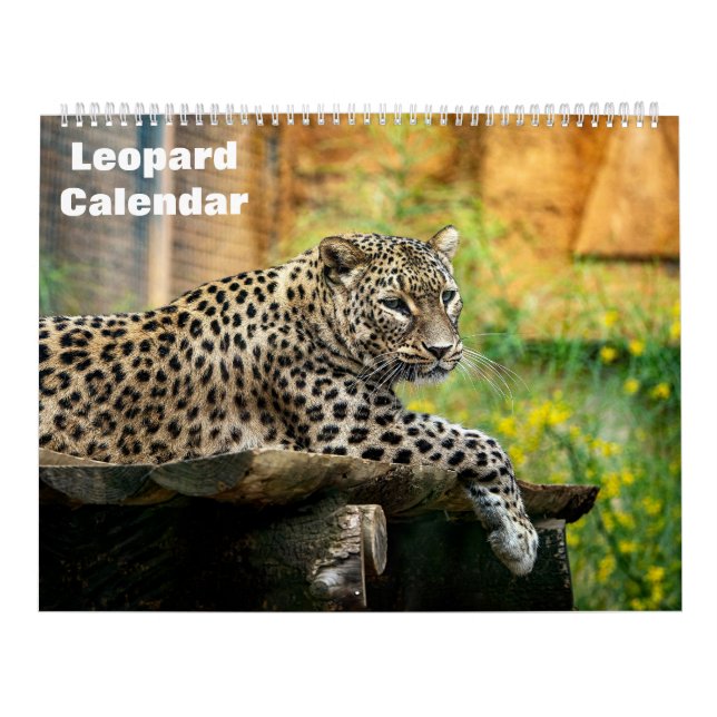 Leopard-Kalender 2025 Kalender (Titelbild)