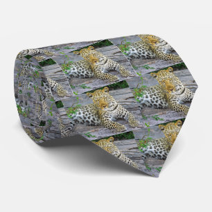 Leopard Krawatte
