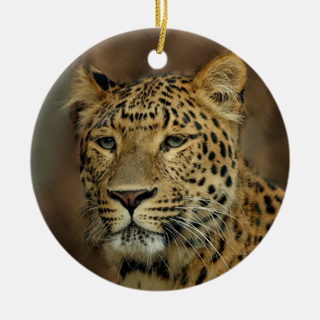 Leopard liebt Weihnachtsbaum Keramikornament (Vorne)