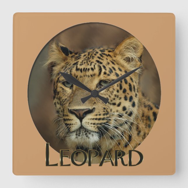 Leopard Lovers Art Quadratische Wanduhr (Vorderseite)