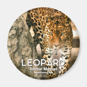 Leopard Magnet