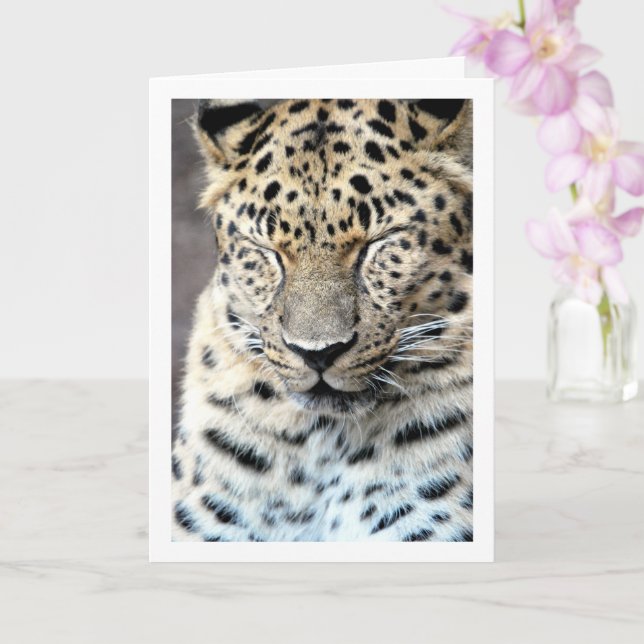 Leopard mit Augen geschlossen Karte (Orchidee)