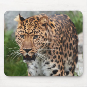 Leopard Mouse Pad Mousepad