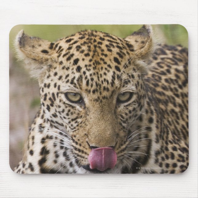 Leopard Mousepad (Vorne)