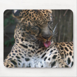 Leopard Mousepad