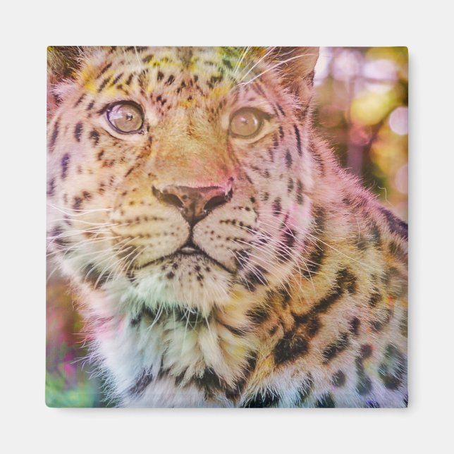 Leopard Nah-up-Foto Magnet (Vorne)