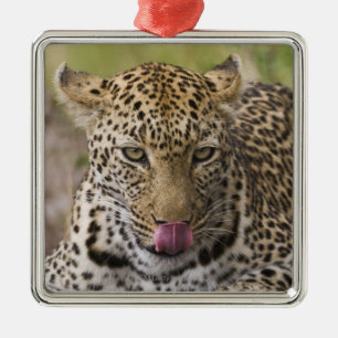 Leopard Ornament Aus Metall
