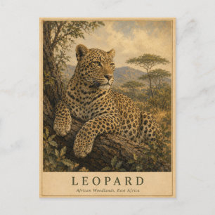 Leopard Ostafrikanische Waldgebiete VINTAGE Postkarte