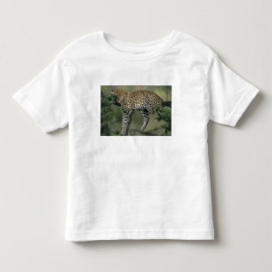 Leopard (Panthera pardus), Kenia, Masai Mara Kleinkind T-shirt