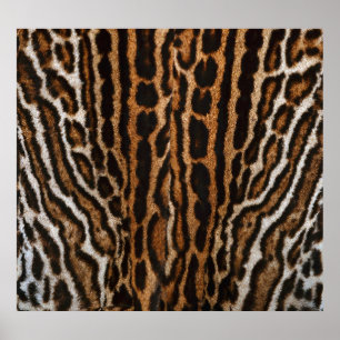 Leopard Pelz Hintergrund Vintage Textur Poster