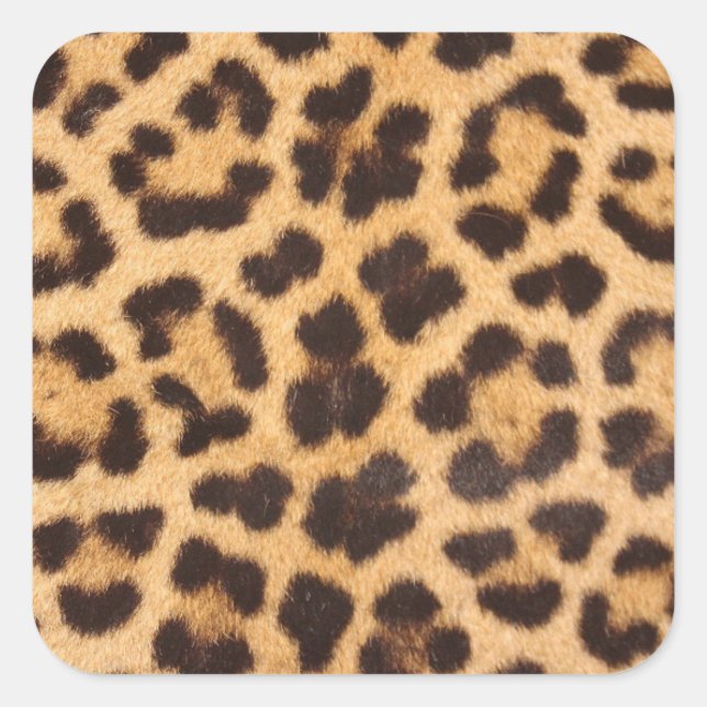 Leopard-Pelzmuster Quadratischer Aufkleber (Vorderseite)