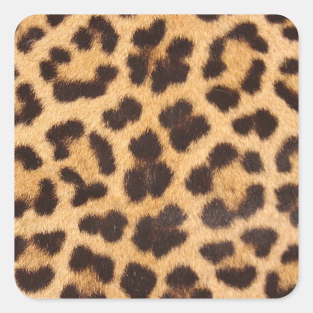 Leopard-Pelzmuster Quadratischer Aufkleber (Vorderseite)