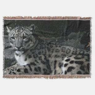 Leopard Picture Blanket Decke