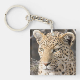 Leopard-Portrait-Foto Schlüsselanhänger