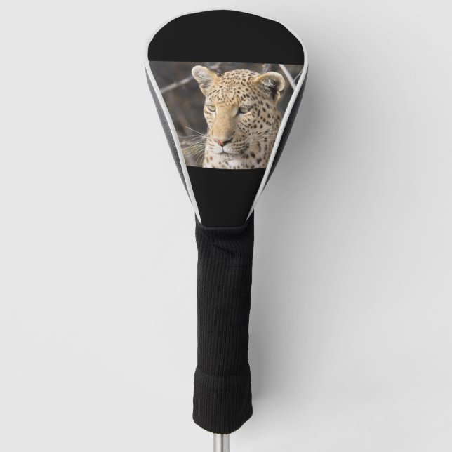 Leopard-Portrait Golf Headcover (Vorderseite)