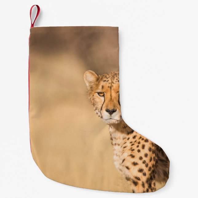 LEOPARD PORTRAIT KLEINER WEIHNACHTSSTRUMPF (Vorderseite)