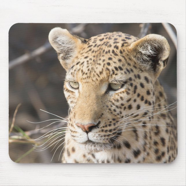 Leopard-Portrait Mousepad (Vorne)