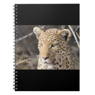 Leopard-Portrait Notizblock