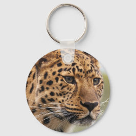 Leopard Portrait Schlüsselanhänger