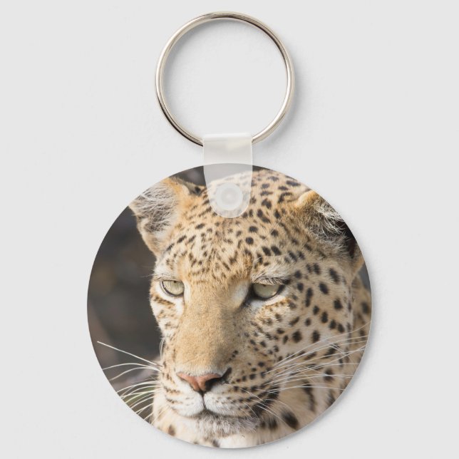 Leopard-Portrait Schlüsselanhänger (Vorderseite)
