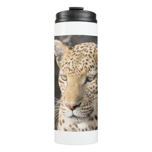 Leopard-Portrait Thermosbecher (Vorderseite)