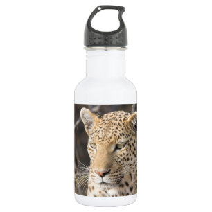 Leopard-Portrait Trinkflasche