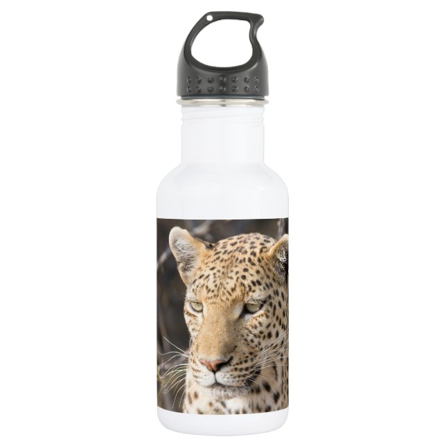 Leopard-Portrait Trinkflasche (Vorderseite)
