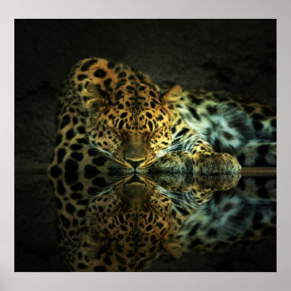 Leopard Poster