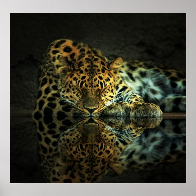 Leopard Poster (Vorne)