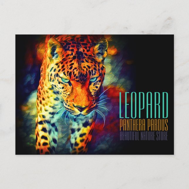 Leopard [Postkarte] Postkarte (Vorderseite)