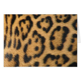 Leopard Print