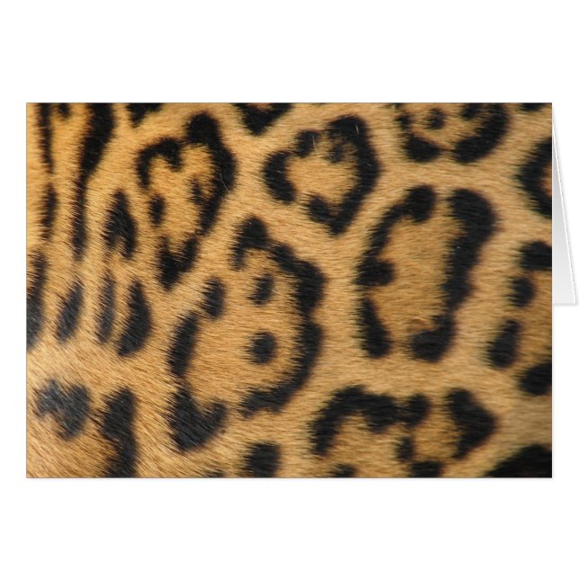 Leopard Print (Vorderseite (Horizontal))