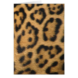 Leopard Print