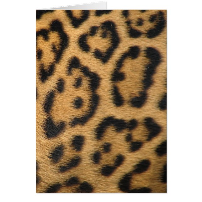 Leopard Print (Vorne)