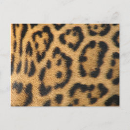 Leopard Print Postkarte