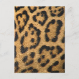 Leopard Print Postkarte