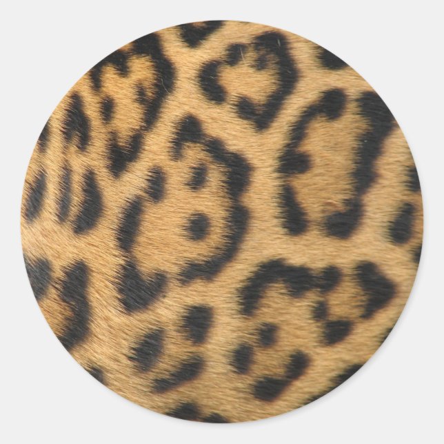 Leopard Print Runder Aufkleber (Vorderseite)
