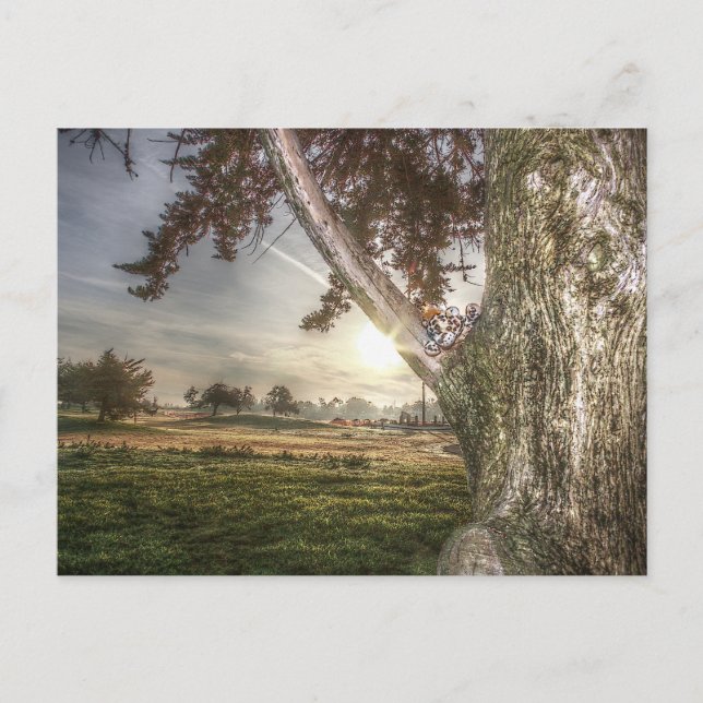 Leopard-Puppe in einer Tree-Postkarte Postkarte (Vorderseite)