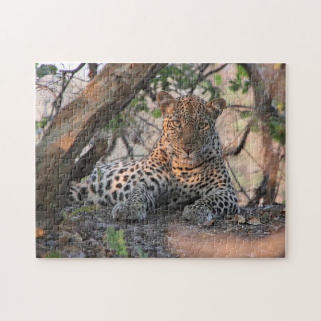 Leopard-Puzzlespiel (Horizontal)
