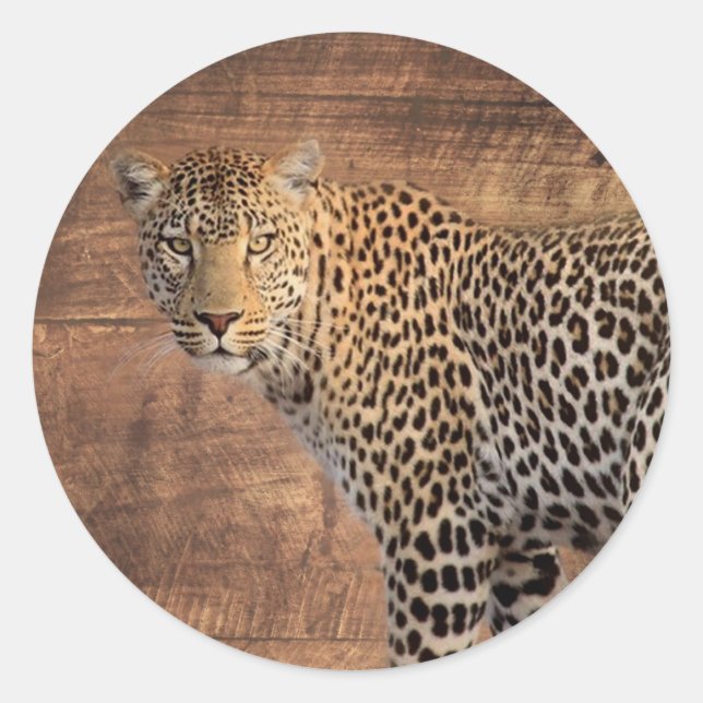 Leopard Runder Aufkleber (Vorderseite)