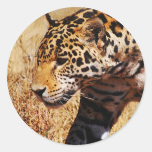 Leopard Runder Aufkleber