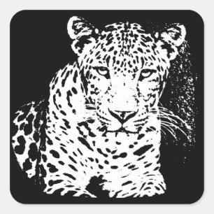 Leopard Schwarz-Weiß-Porträt-Aufkleber Quadratischer Aufkleber