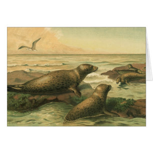 Leopard-Siegel, Vintage Wassertiere Meeresleben
