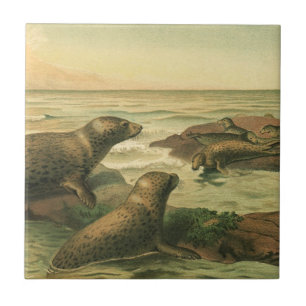 Leopard-Siegel, Vintage-Wassertiere Meeresleben Fliese
