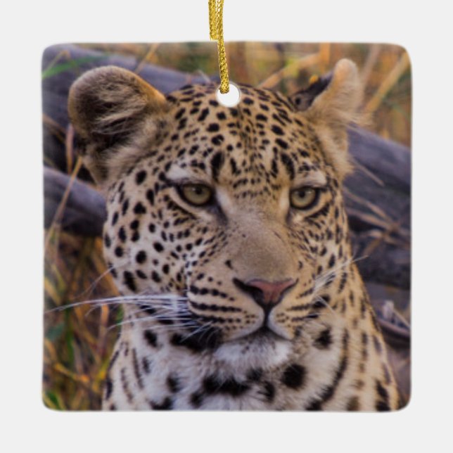 Leopard sitzend, Botswana, Afrika Keramikornament (Vorderseite)