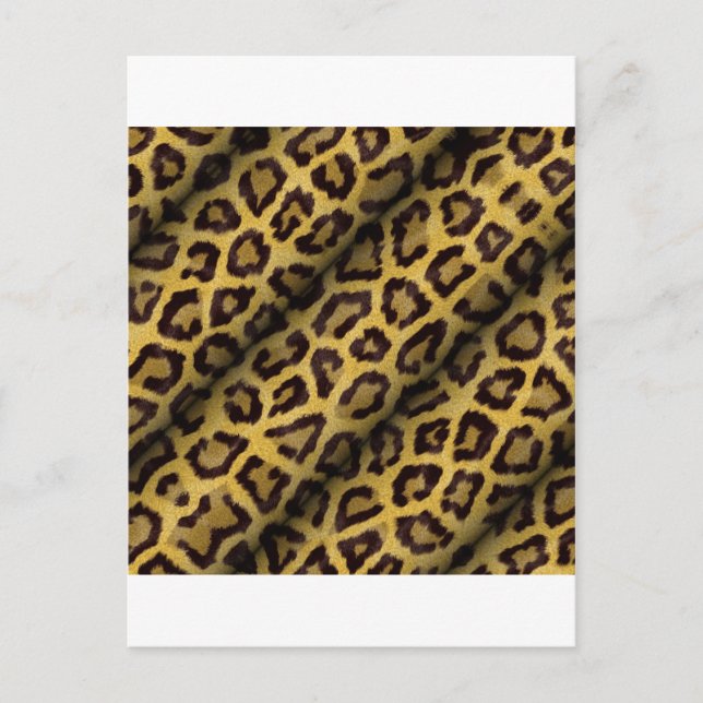 Leopard Spots Postkarte (Vorderseite)